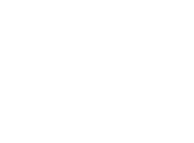 Waldberghexen Singen 2012 e.V. Logo